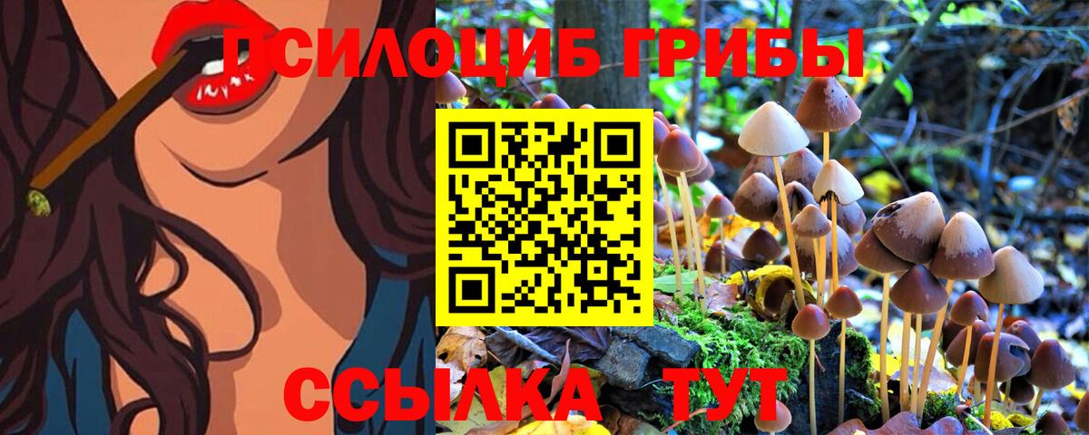 Псилоцибиновые грибы мицелий Тольятти