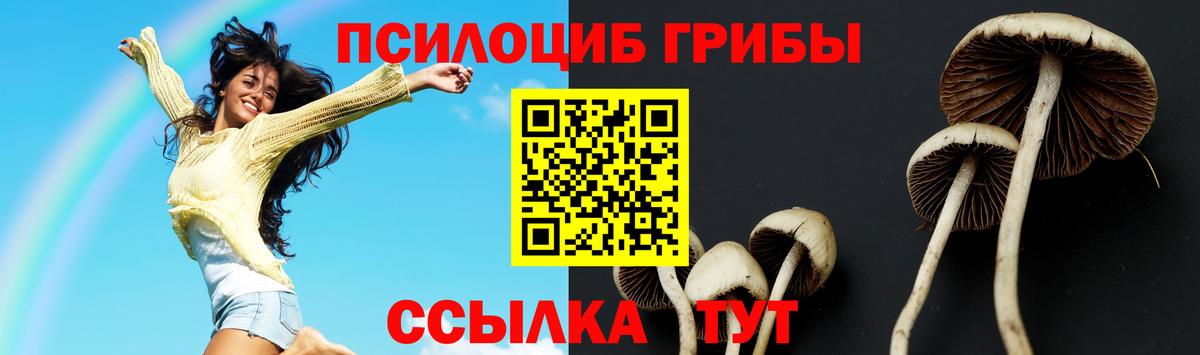 Тольятти  Галлюциногенные грибы GOLDEN TEACHER  Вход с VPN 